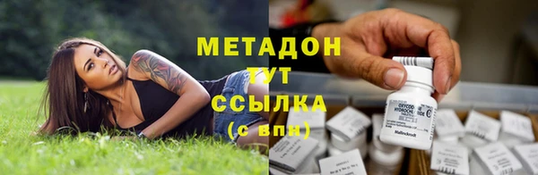 PSILOCYBIN Алзамай