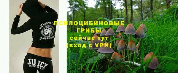 PSILOCYBIN Алзамай