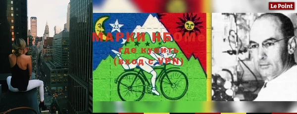 PSILOCYBIN Алзамай
