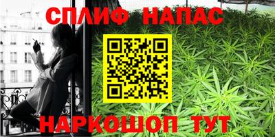 мяу мяу мука Тара