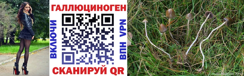 Галлюциногенные грибы Magic Shrooms  Новоуральск 