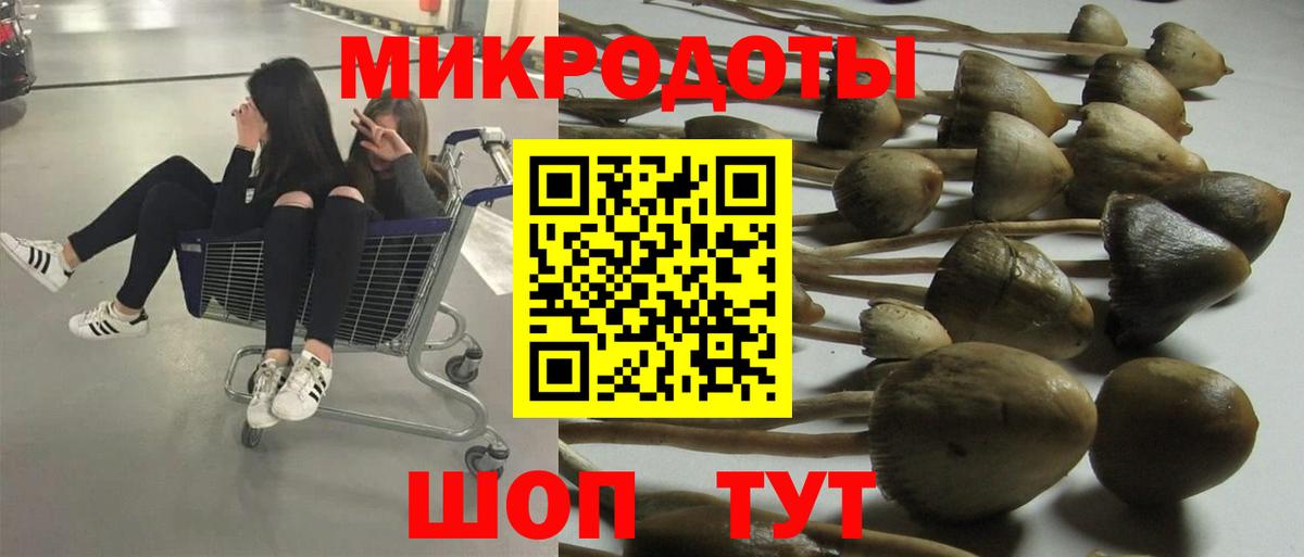 Галлюциногенные грибы GOLDEN TEACHER Новоуральск