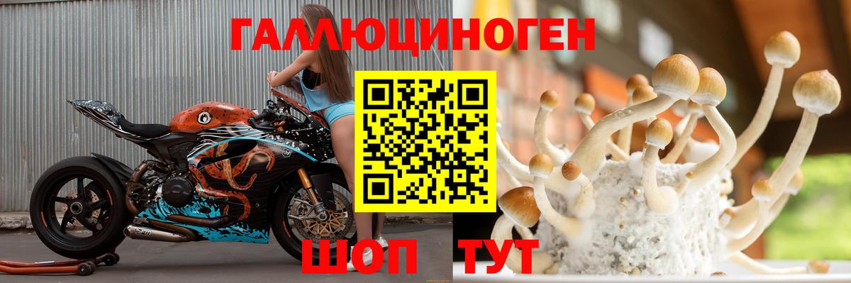 Псилоцибиновые грибы Psilocybine cubensis  Вход с VPN  Новоуральск  Галлюциногенные грибы прущие грибы 